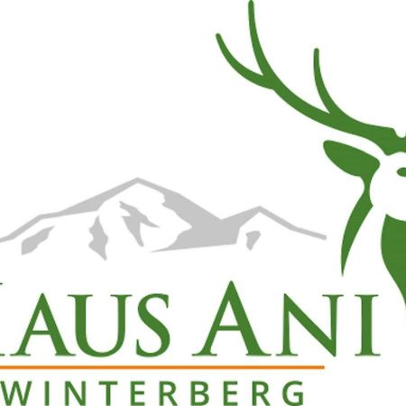 فيلا Haus Ani وينتربرغ المظهر الخارجي الصورة